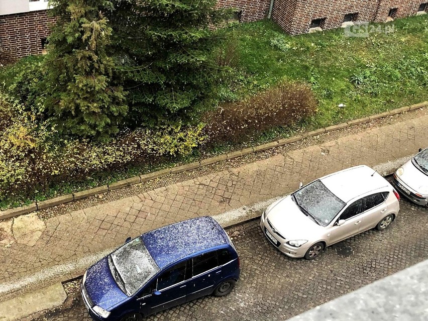 W Szczecinie spadł śnieg. A jaka czeka nas pogoda? Czy jest szansa na białe święta? Zobacz zdjęcia! - 3.12.2020