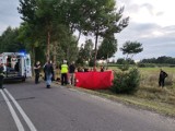 Nie żyje 52-letni motocyklista z Sieradza. Zginął w Majaczewicach ZDJĘCIA