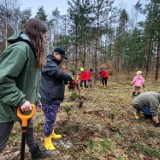 Młodzi i starsi ochotnicy OSP sadzili las. W kilka godzin posadzili 900 jodeł!