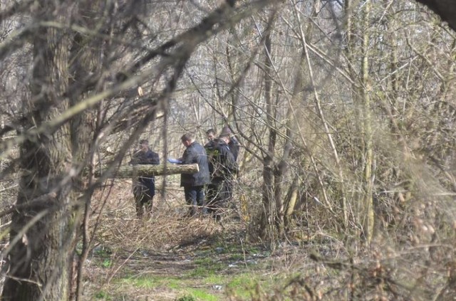 Dziś w rowie melioracyjnym przy drodze w podbydgoskim Osielsku znaleziono zwłoki kobiety. Oględziny miejsca zdarzenia trwały do późnego wieczora.