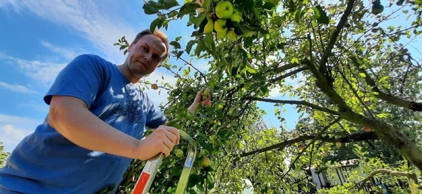 Dzięki ogólnopolskiemu portalowi myzbieramy.pl owoce można...