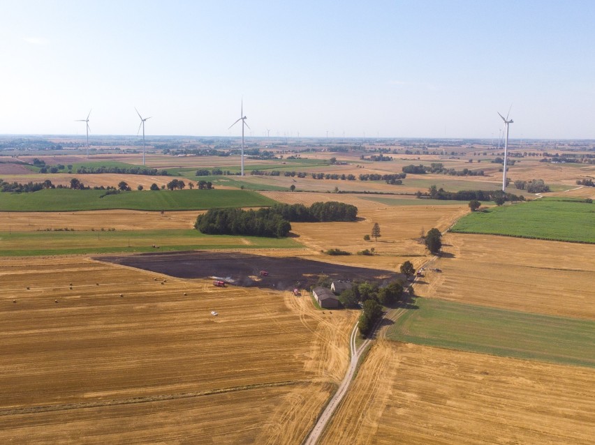 Pożar na polu w Zakrzewie pod Grudziądzem [zdjęcia, wideo]