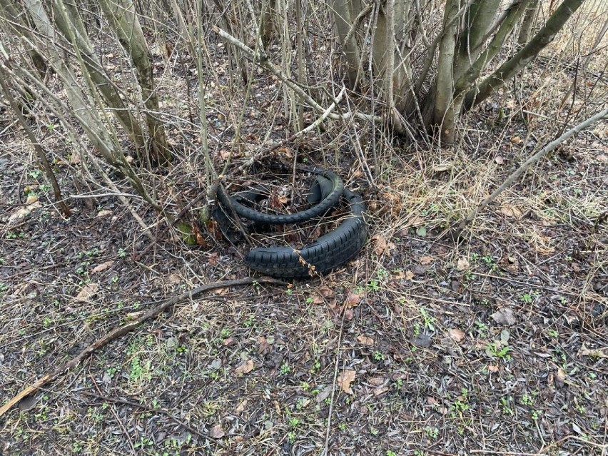 Nie o takie wiosenne porządki chodziło. Gmina apeluje [ZDJĘCIA]