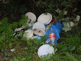 Zabrze: Śmieci w Mikulczycach przy ul. Brygadzistów w pobliżu ogródków działkowych Odrodzenie