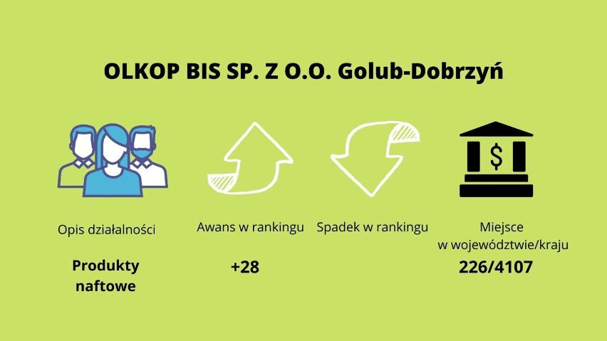 TOP firmy w powiecie golubsko-dobrzyńskim. Zobacz kto jest w rankingu "Gazele Biznesu"