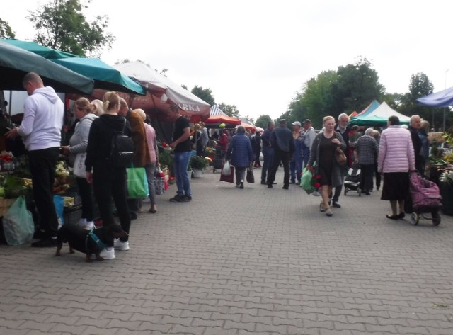 W czwartek 2 czerwca na radomskim bazarze panował spory ruch. Klimat targowiska ma w sobie to coś czego nie ma w eleganckich sklepach. Dużym powodzeniem wśród kupujących cieszyły się warzywa i owoce oraz sadzonki kwiatów po które ustawiały się kolejki. Kupowano tez sadzonki warzyw i ziół.