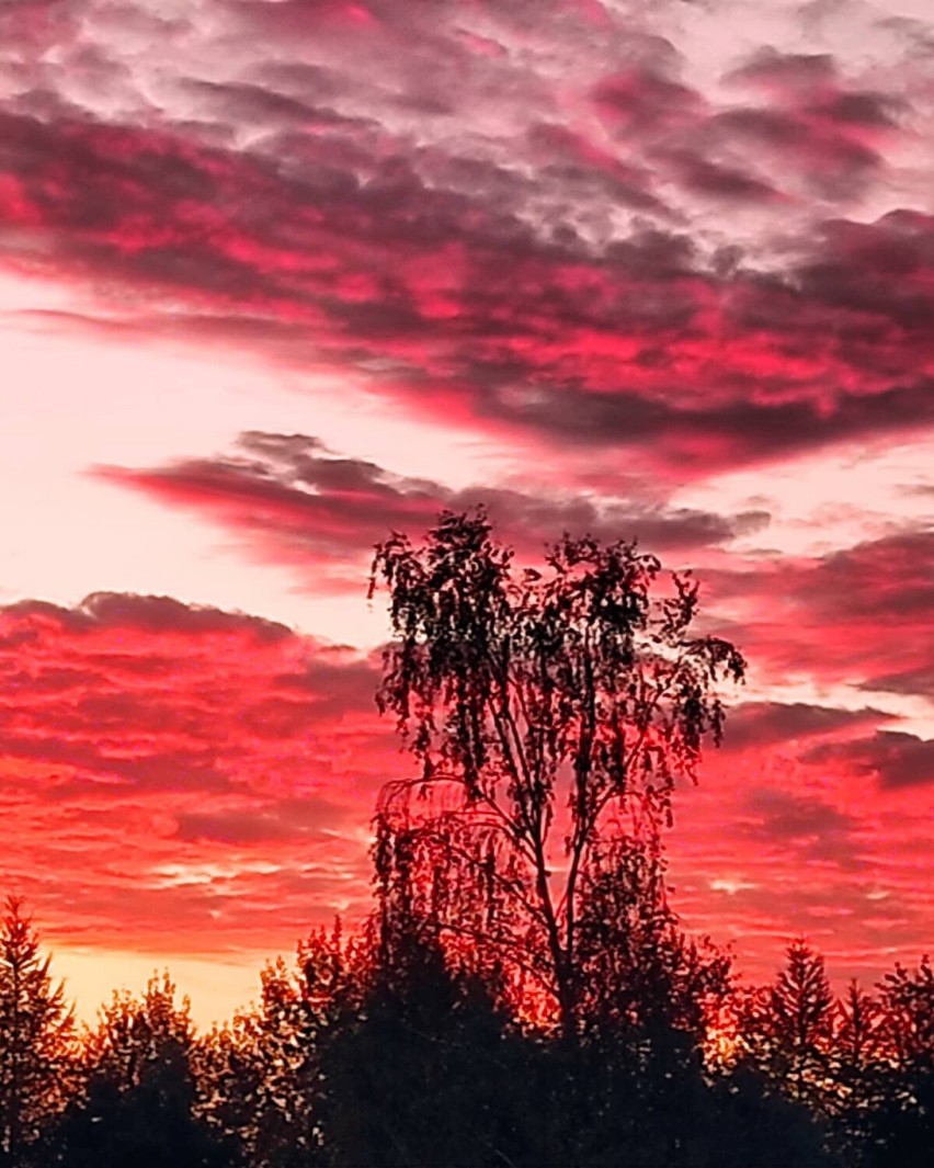 Czerwone niebo nad Kaszubami. Zobaczcie wyjątkowe zdjęcia Anny Nideckiej [ZDJĘCIA]
