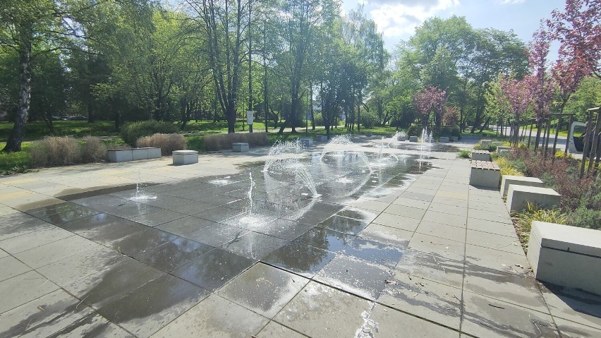 Park Hallera zaprasza w słoneczny, ciepły weekend...