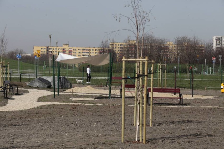 Park dla psów ma służyć głównie czworonogom