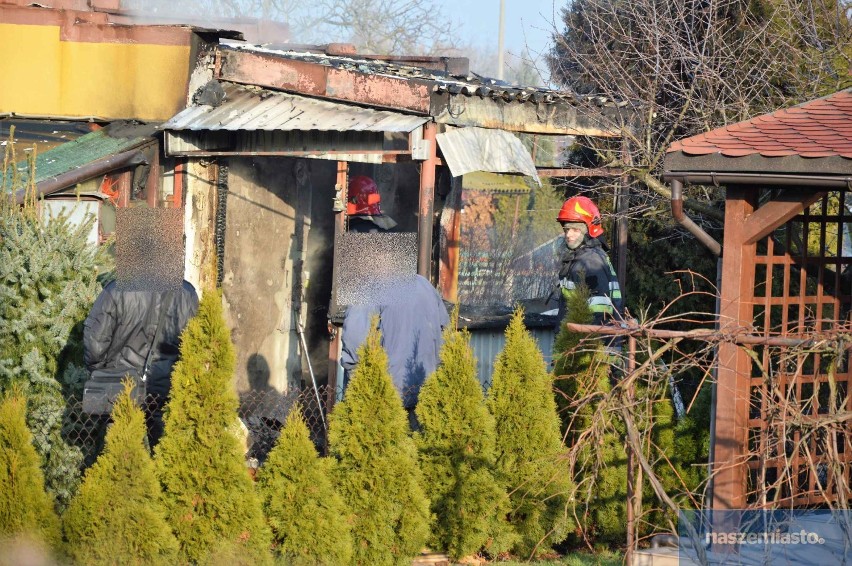 Pożar altany na działkach przy ul. Planty we Włocławku [wideo, zdjęcia]