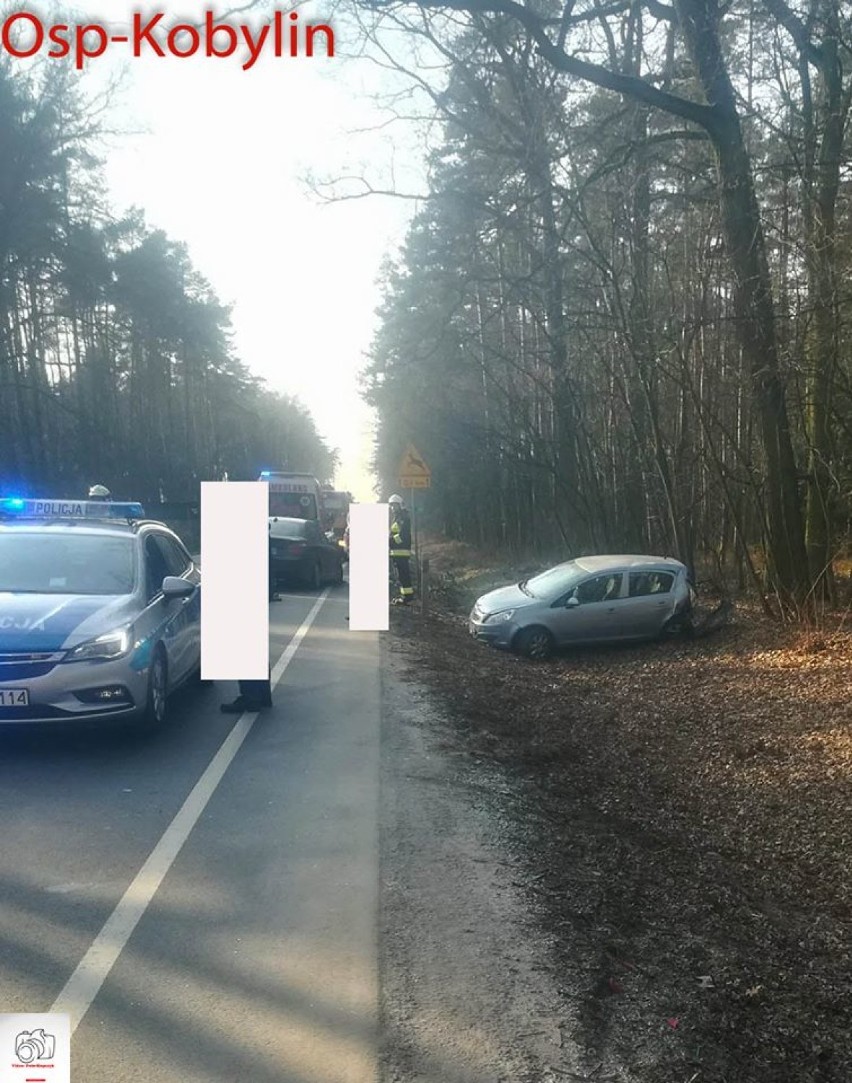 Pracowity dzień strażaków ochotników z Kobylina. Gasili pożar i zabezpieczali miejsce wypadku [ZDJĘCIA]