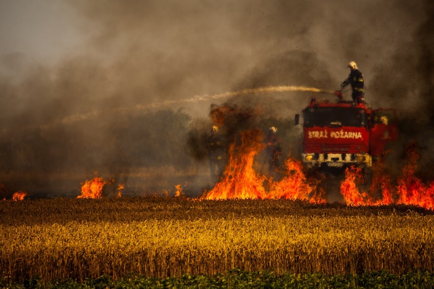 Pożar w Celbowie: w akcji strażacy OSP Żelistrzewo