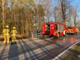 Gmina Chocz. Pożar w Starym Oleścu. Paliła się trawa w przydrożnym rowie