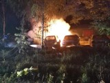 W nocy w pożarze w Łupowie koło Gorzowa spłonęły trzy samochody