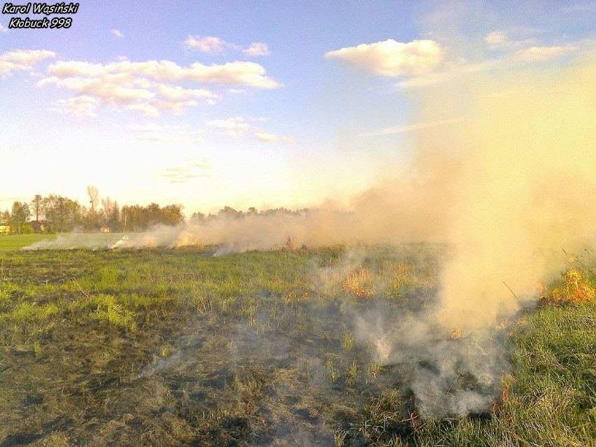 Dankowice: Pożar suchych traw [FOTO]