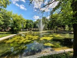 Zgadzacie się, że to najładniejszy park w Lesznie? Zobaczcie na te zdjęcia. A będzie jeszcze ładniej!