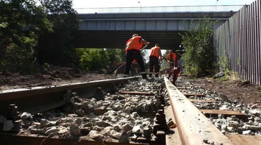 Trwa remont torowiska Górnośląskiej Kolei Wąskotorowej w...