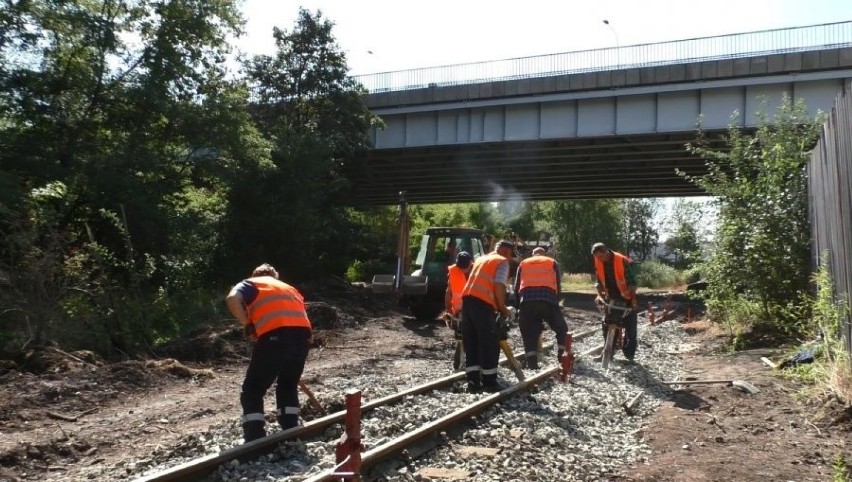 Trwa remont torowiska Górnośląskiej Kolei Wąskotorowej w...