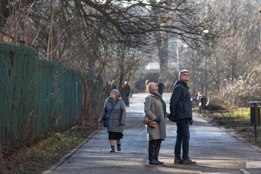 Kraków. Park Jalu Kurka już otwarty! To będzie zielona enklawa w ścisłym centrum miasta. Jak będzie urządzony?