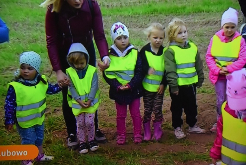 Gmina Łubowo: wykopki na antenie "Dzień dobry TVN"