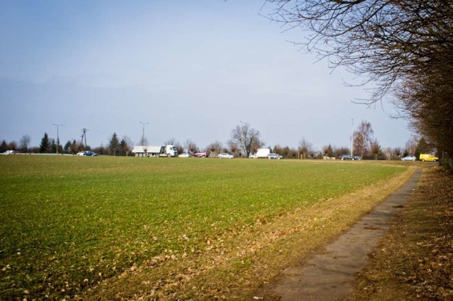 Miasto Gniezno chce sprzedaż "złote runo". To kolejna próba