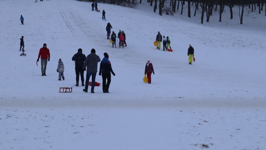 Lublinianie nie tylko morsują, ale także saneczkują! W sobotę w wąwozie Rury tłumy, jak w Zakopanem! Zobacz zdjęcia