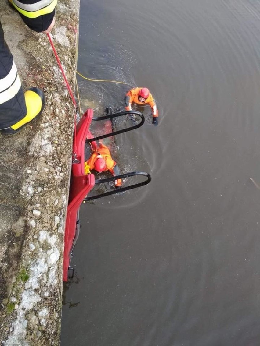 Stawy Monowskie. Strażacy uratowali tonącą w kanale sarnę
