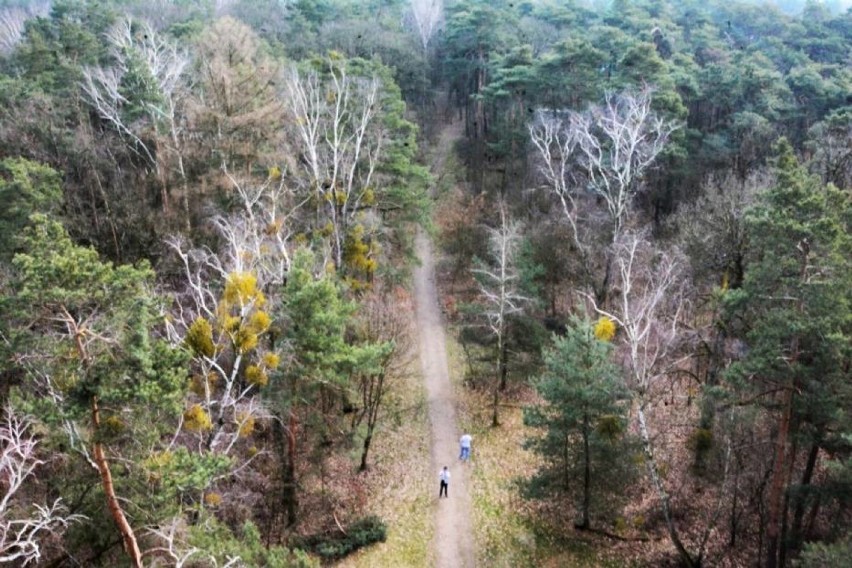 Półmaraton Złota Góra - pobiegną dopiero w sierpniu!