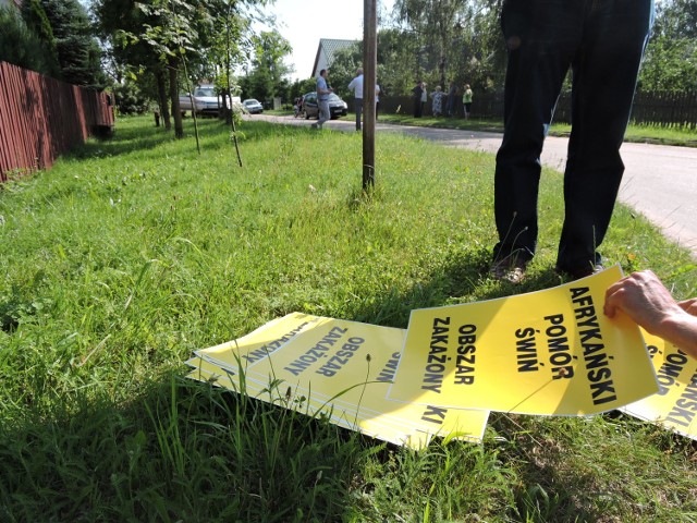 Po dłuższej przerwie , znów w Podlaskiem wykryto ognisko ASF. Tym razem w gminie Orla