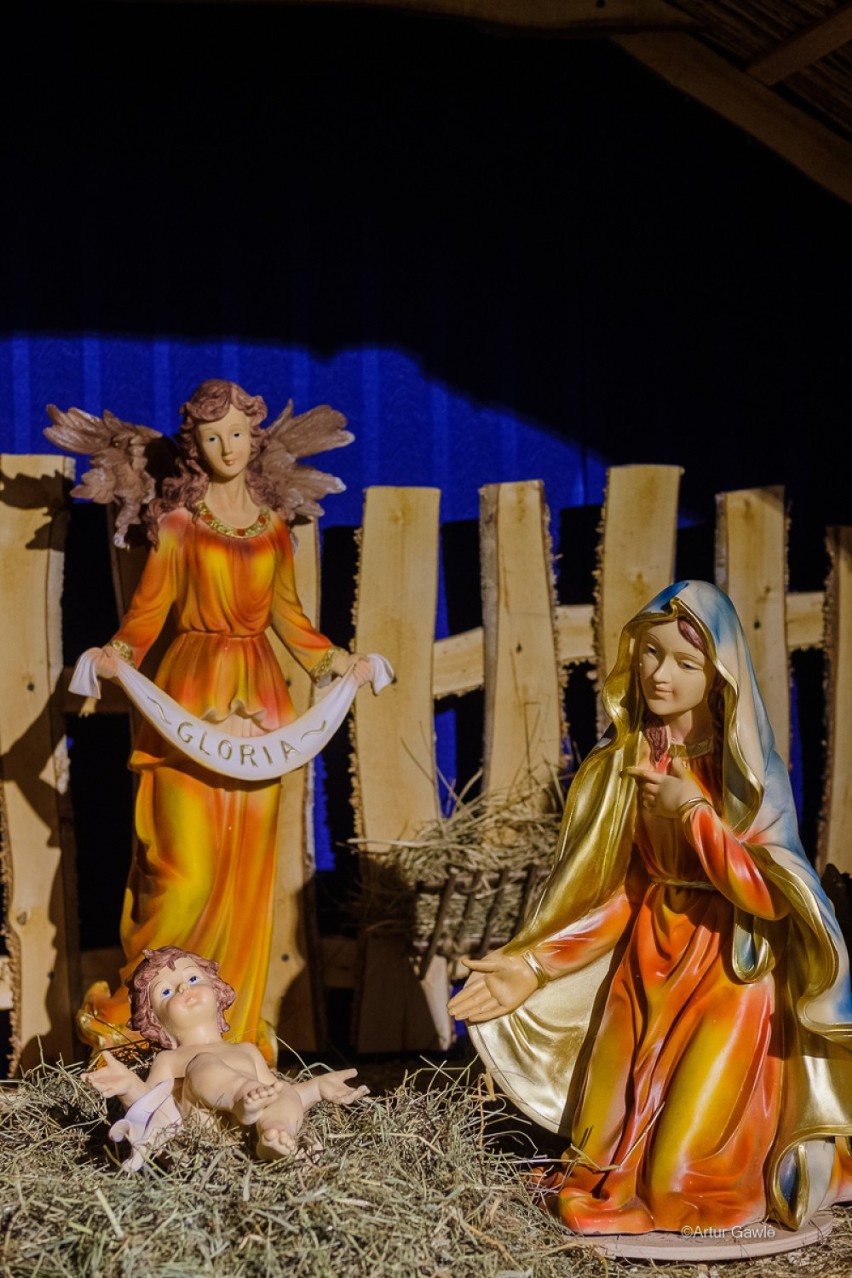 Szopki bożonarodzoniowe 2020 w tarnowskich kościołach