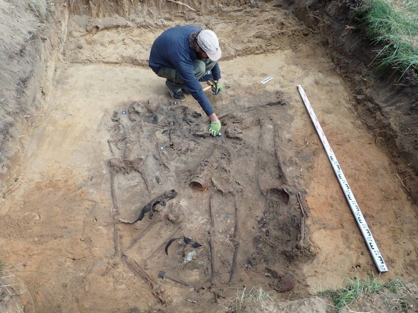 Szczątki niemieckich żołnierzy odkryte przez archeologów z...