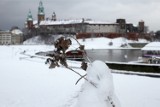 Idą mrozy. Już wiadomo, kiedy temperatury spadną poniżej zera