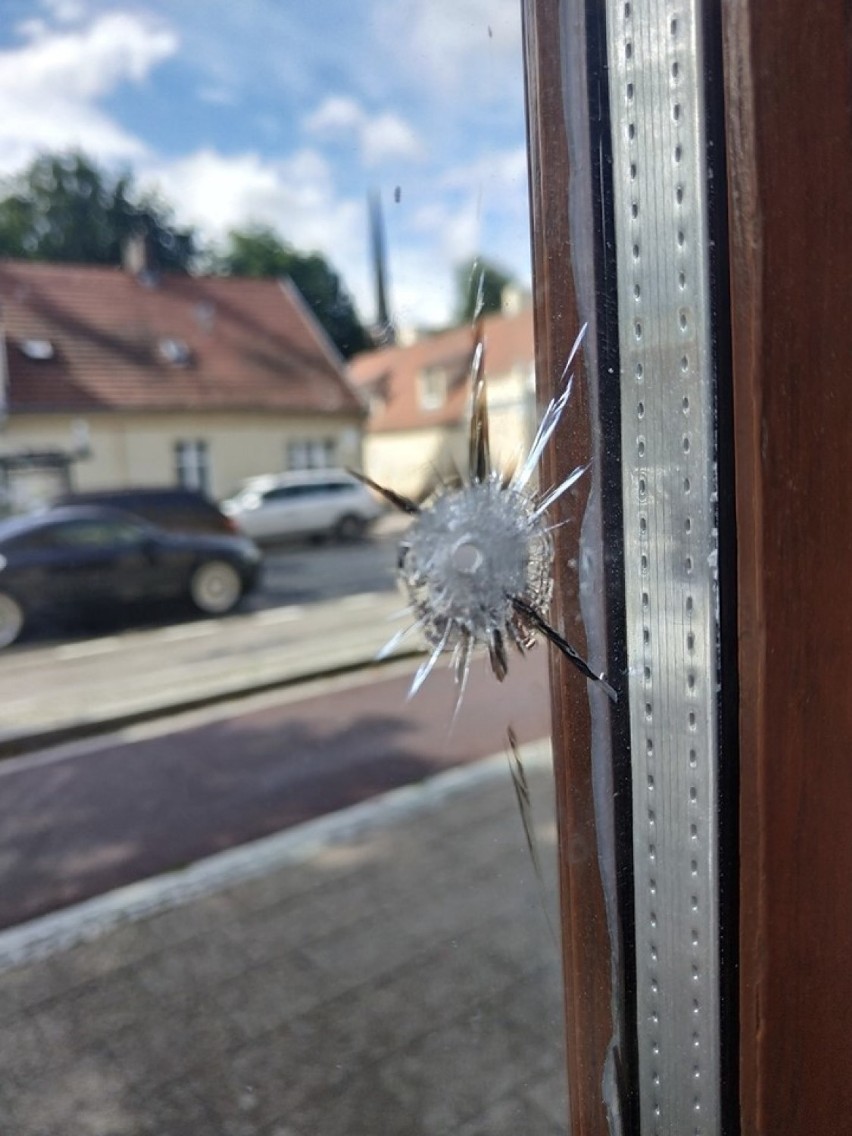 Ktoś strzelił w szybę oliwskiej kociej kawiarni w sobotę, 6.07. Właściciele Kotka Cafe w Gdańsku podejrzewają, że ktoś strzelał z wiatrówki 