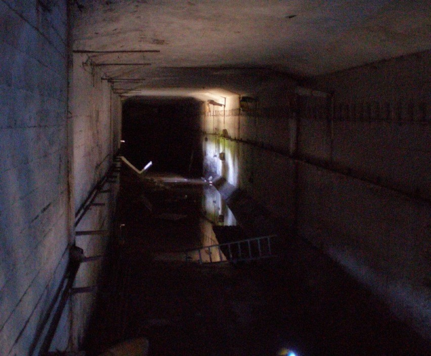 Tajemniczy tunel metra na Targówku. Powstał w latach 50. Będzie tam muzeum metra?