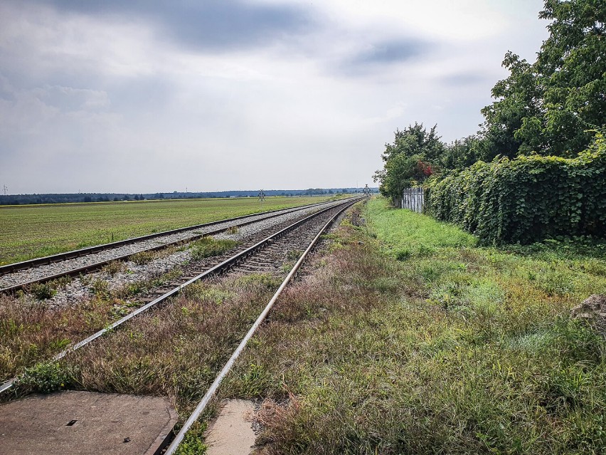 Linia kolejowa Leszno - Gostyń będzie remontowana. Tak wygląda obecnie [ZDJĘCIA]
