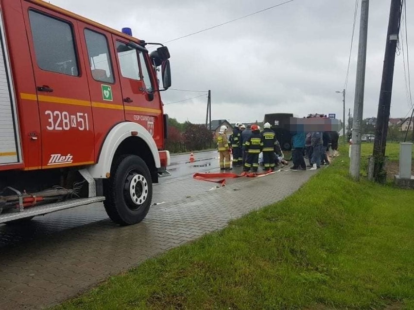 Koń przewrócił się na drodze wojewódzkiej w gminie Skała. Zwierzę było przewożone w przyczepie