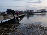 Korycin. Skrzyknęli się i w czynie społecznym obsadzili plaże. Zaoszczędzili dzięki temu kilka tysięcy złotych (zdjęcia)