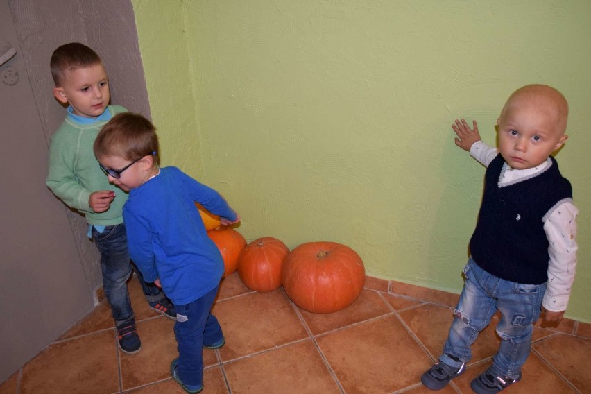 Szkoła rodzenia w Międzychodzie. Spotkanie z dziećmi