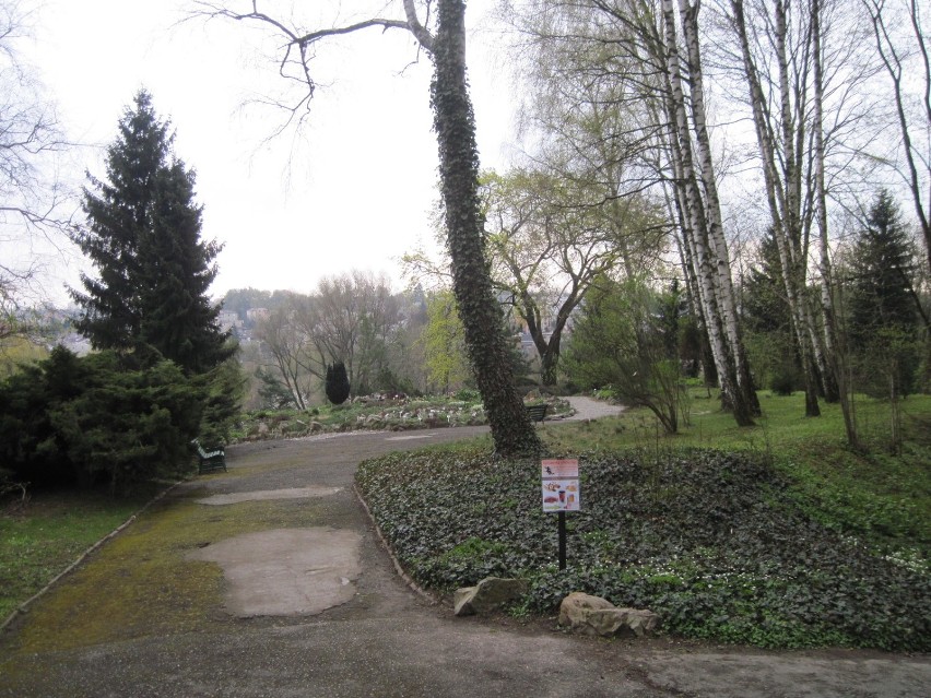 Ogród Botaniczny UMCS będzie czynny już w Wielkanoc