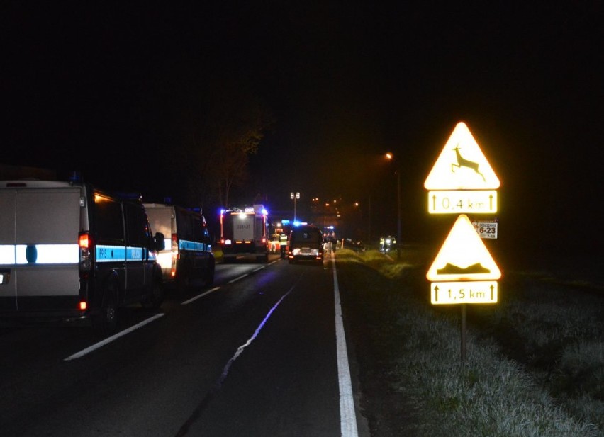 Wypadek w Bujakowie, dwie osoby nie żyją. Kierowca najechał na leżącego dzika... [ZDJĘCIA]