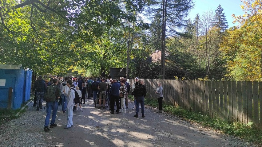 W sobotę tłumy turystów odwiedziło Dolinę Kościeliską