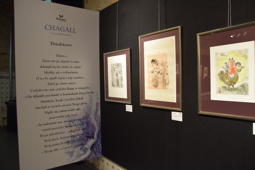 Wystawa prac Chagalla w Tichauer Art Gallery w Tychach