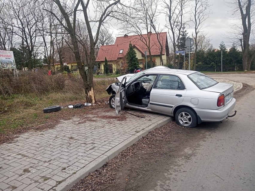 Samochodem w drzewo w Grzędzicach pod Stargardem. Kierowca pijany