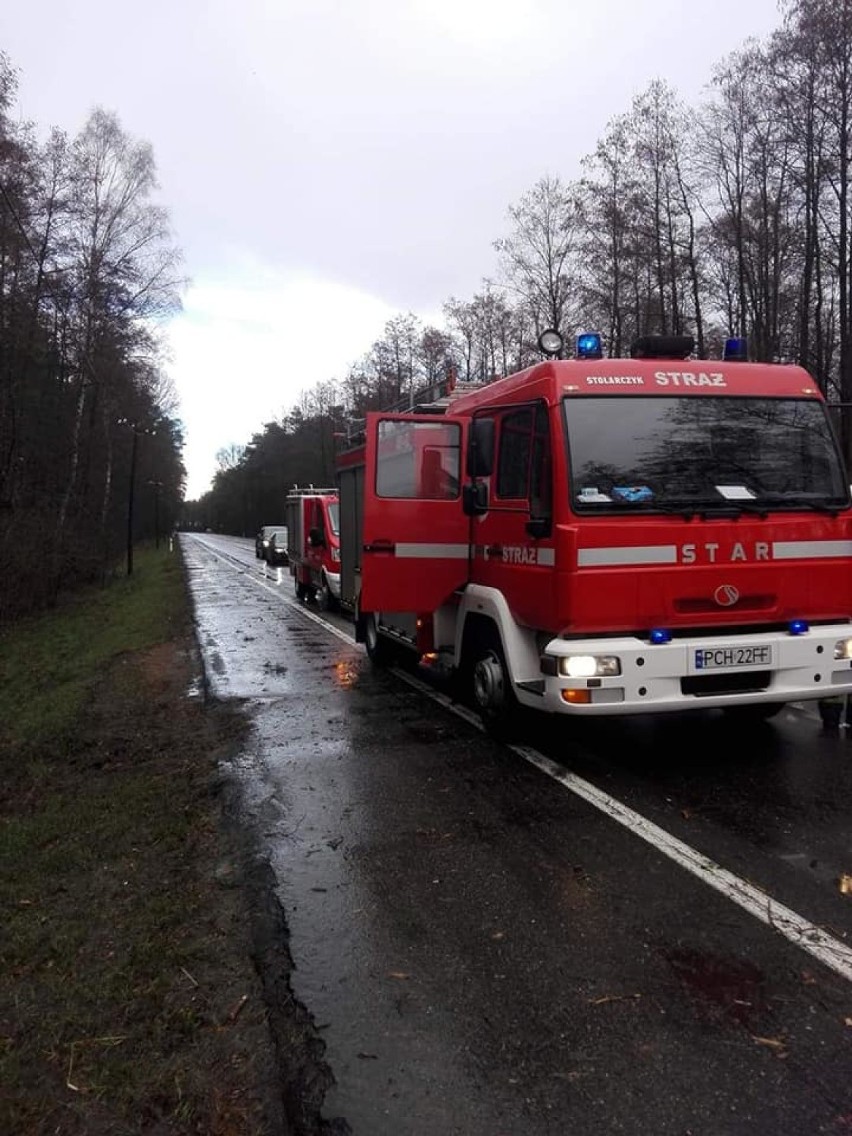 Wiatr w powiecie chodzieskim. Przewrócone drzewa, połamane gałęzie, naderwany dach (FOTO)