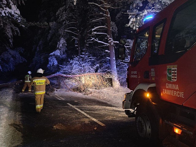 W miniony weekend strażacy znacząco ponad 100 razy interweniowali w związku z przewróconymi drzewami i połamanymi gałęziami.