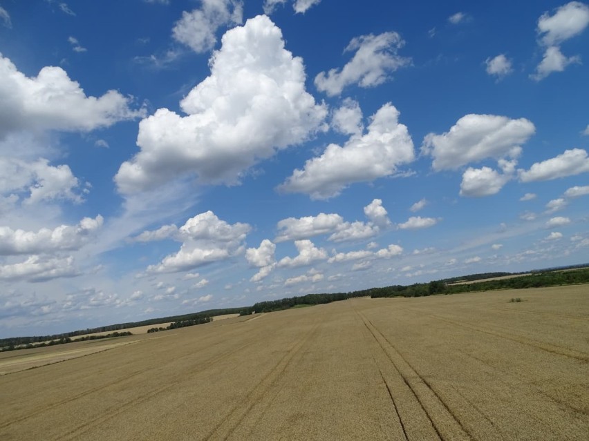 Okołomiędzyrzeckie klimaty w obiektywie Bartosza Stańskiego