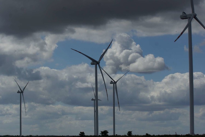 Jedna z największych farm wiatrowych w Polsce została...