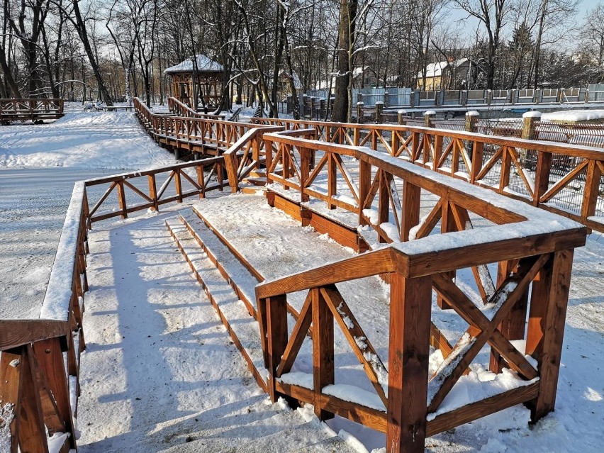 Kraków. Ależ pięknie w tym parku Duchackim. Najnowszym w Krakowie [ZDJĘCIA]