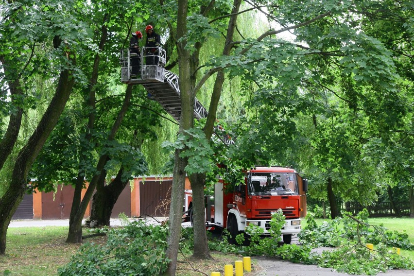 Wichura nad Łodzią. Połamane drzewa i uszkodzone samochody [ZDJĘCIA]