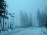 Tatry. Setka ludzi utknęła na drodze do Morskiego Oka. Żądali, by ktoś po nich przyjechał 